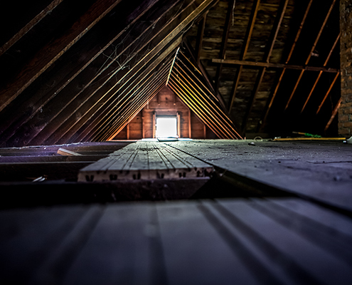 Attic inspection